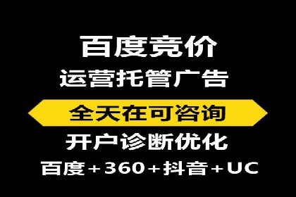 百度竞价排名案例解析：如何快速提升网站流量